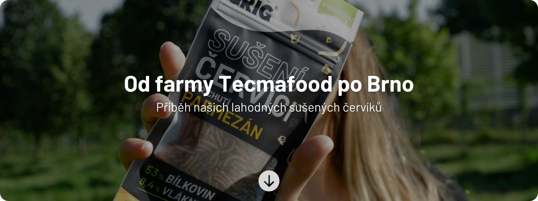 Blog příspěvek - Hlavní obrázek (13)-min